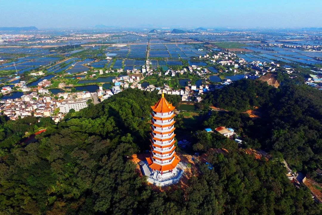 都在这得到较好传承黄圃赛龙舟习俗黄圃飘色,黄圃腊味传统制作工艺