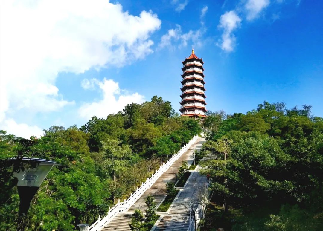 去一趟中山黄圃,为了这山与"海"!