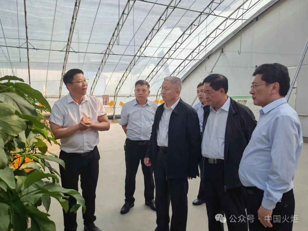 本次活动由区关工委,区委组织部,区农业农村局,区科协主办,马兰屯镇