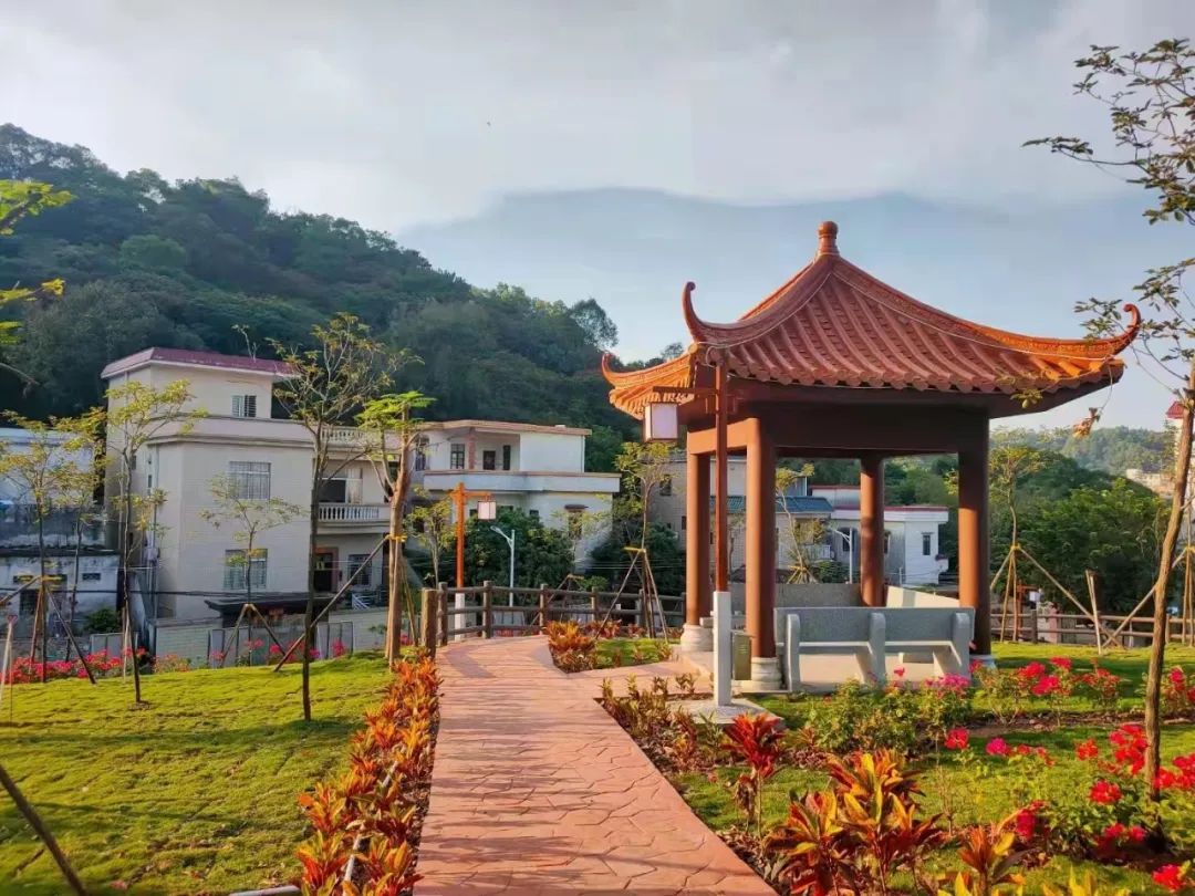 去一趟中山黄圃,为了这山与"海"!