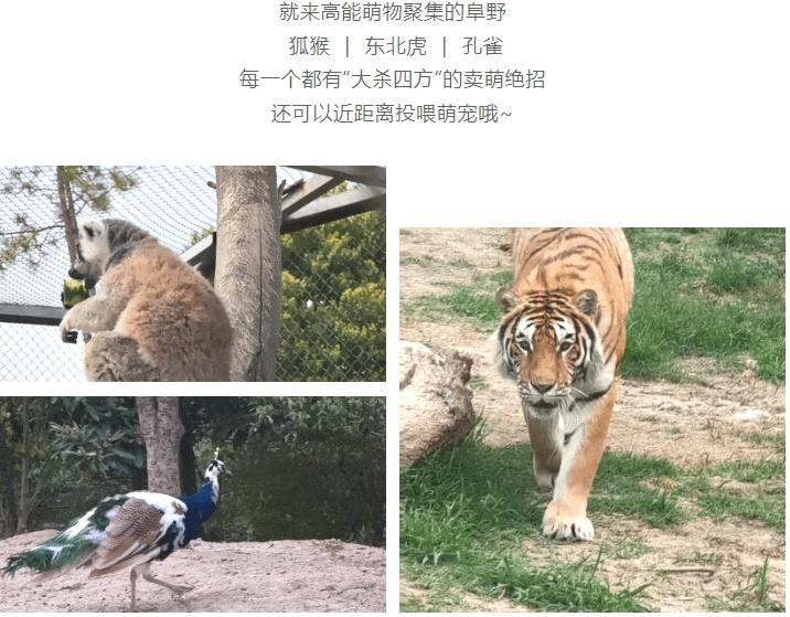 ▲阜阳野生动物园微信公众号截图