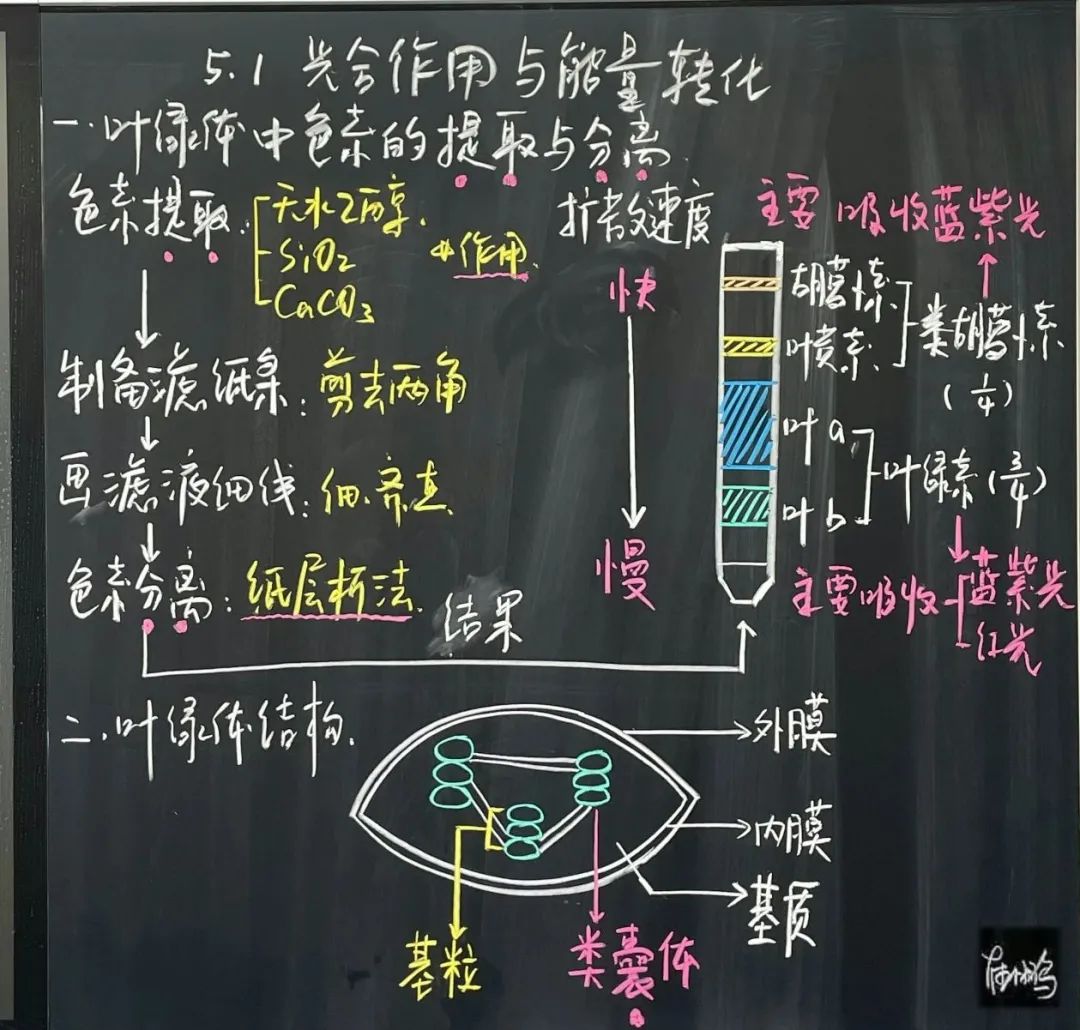 西安交大附中空港校区首届教师板书设计大赛圆满举行
