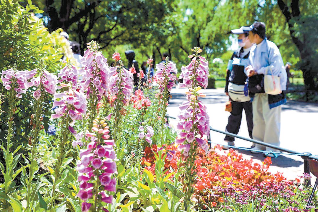 国家植物园百花展芳容