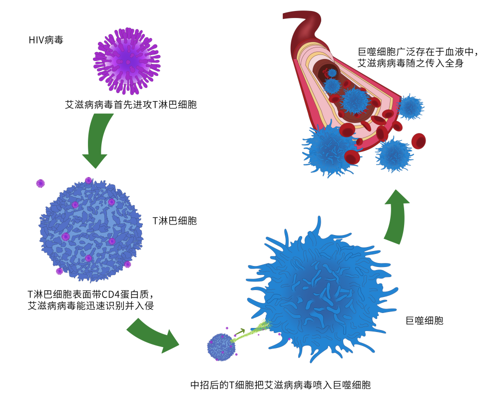 延…延什么时,我割包皮是为了防艾滋!