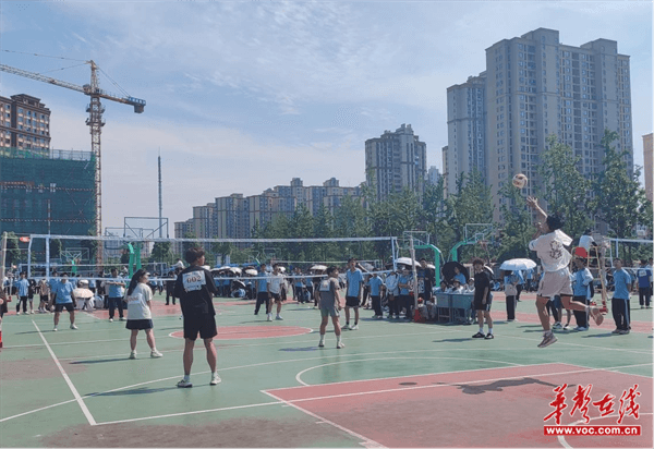 安乡一中:以排球之名 燃热血青春