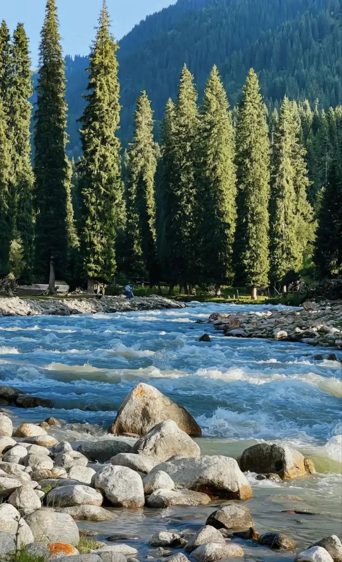 《我的阿勒泰》后劲太大了,一起来看最美打卡笔记!