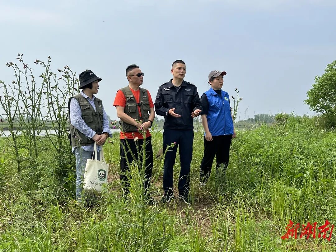 《湖南日报》推介 | 湿地保护与修复系列项目,入选国