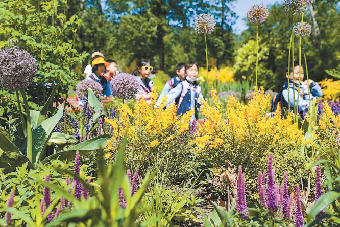 国家植物园百花展芳容