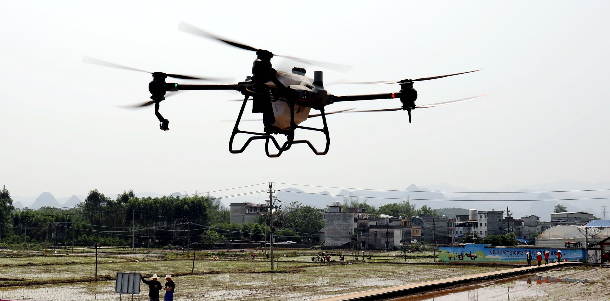 图为农业无人机在稻田上空施肥作业