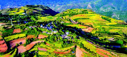 武山县四门镇:油菜花开满地金 和美乡村入画来|天水市_新浪财经_新浪