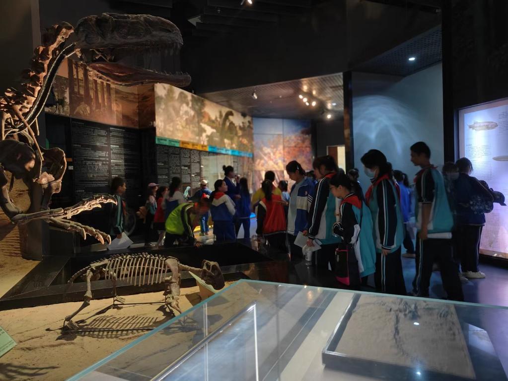 游客在参观吐鲁番美丽巨犀化石。新华社记者 张瑜 摄