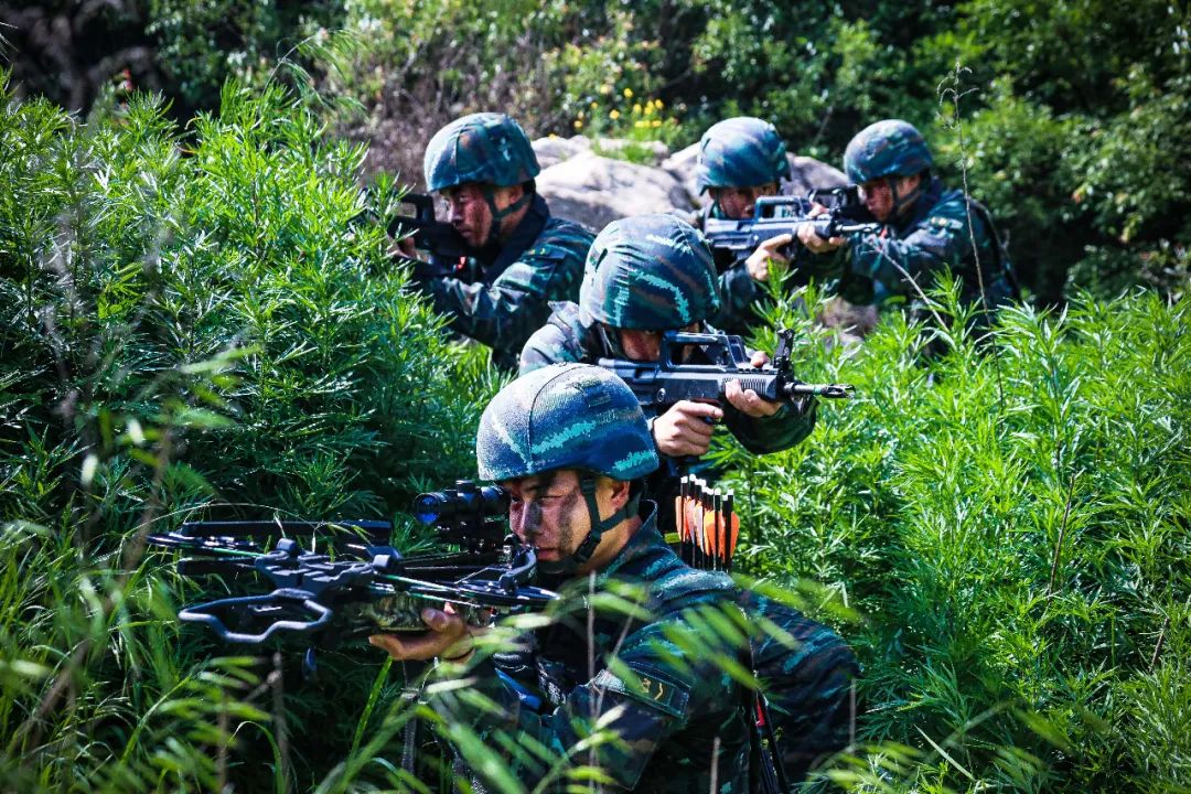 最美五月天,亦是训练"黄金期"|武警_新浪财经_新浪网