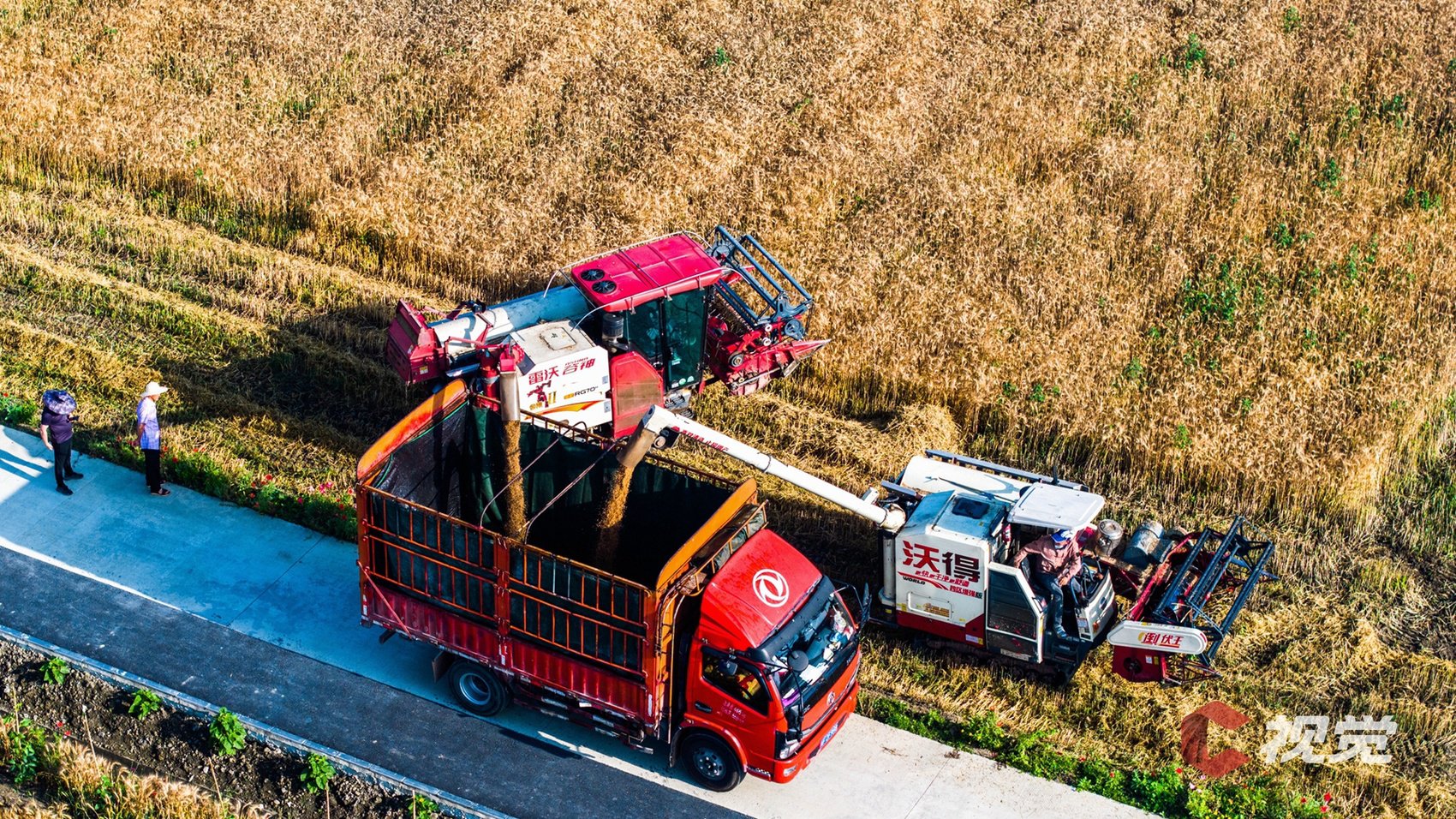 广汉市国家现代农业产业园开镰收割.