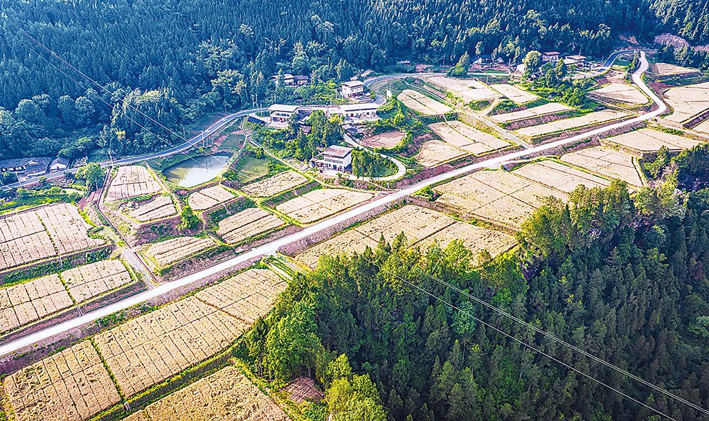 四川省巴中市实施高标准农田建设 确保农田增粮,农民增收