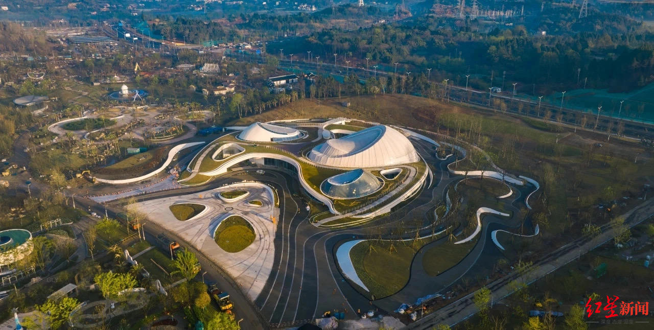 在成都也能打卡"热带雨林"!"神奇植物"在这里