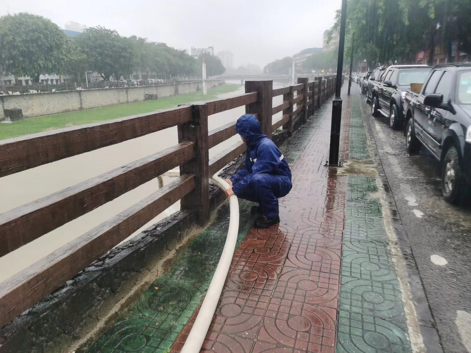 雷雨天气致树倒内涝 保亭消防紧急处置