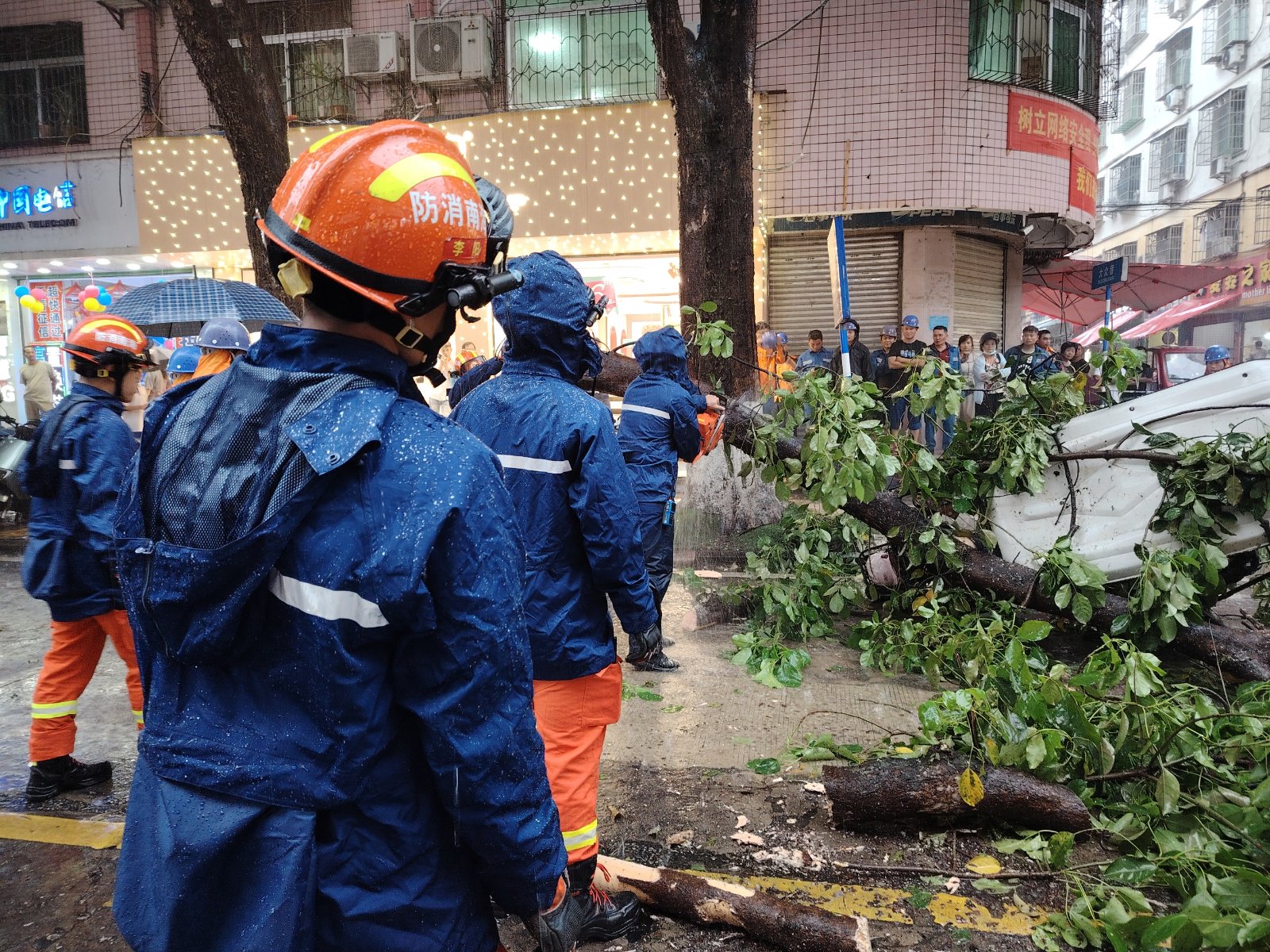 雷雨天气致树倒内涝 保亭消防紧急处置