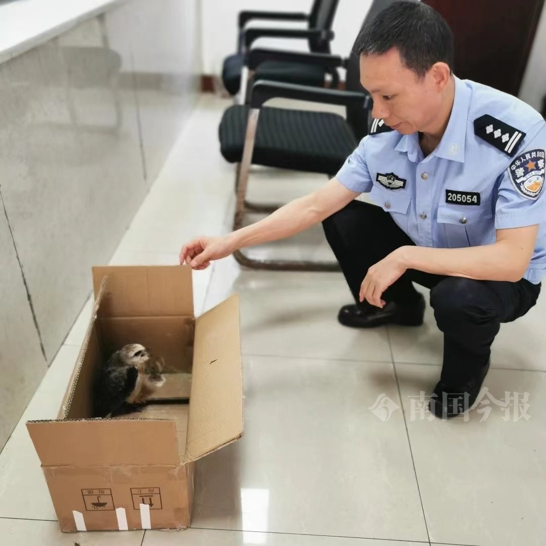 5月13日上午12时许,柳州市公安局雀儿山派出所接到热心群众报警称,其