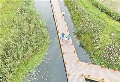 市民在广西南宁那考河湿地公园里游玩。 新华社记者 周华摄