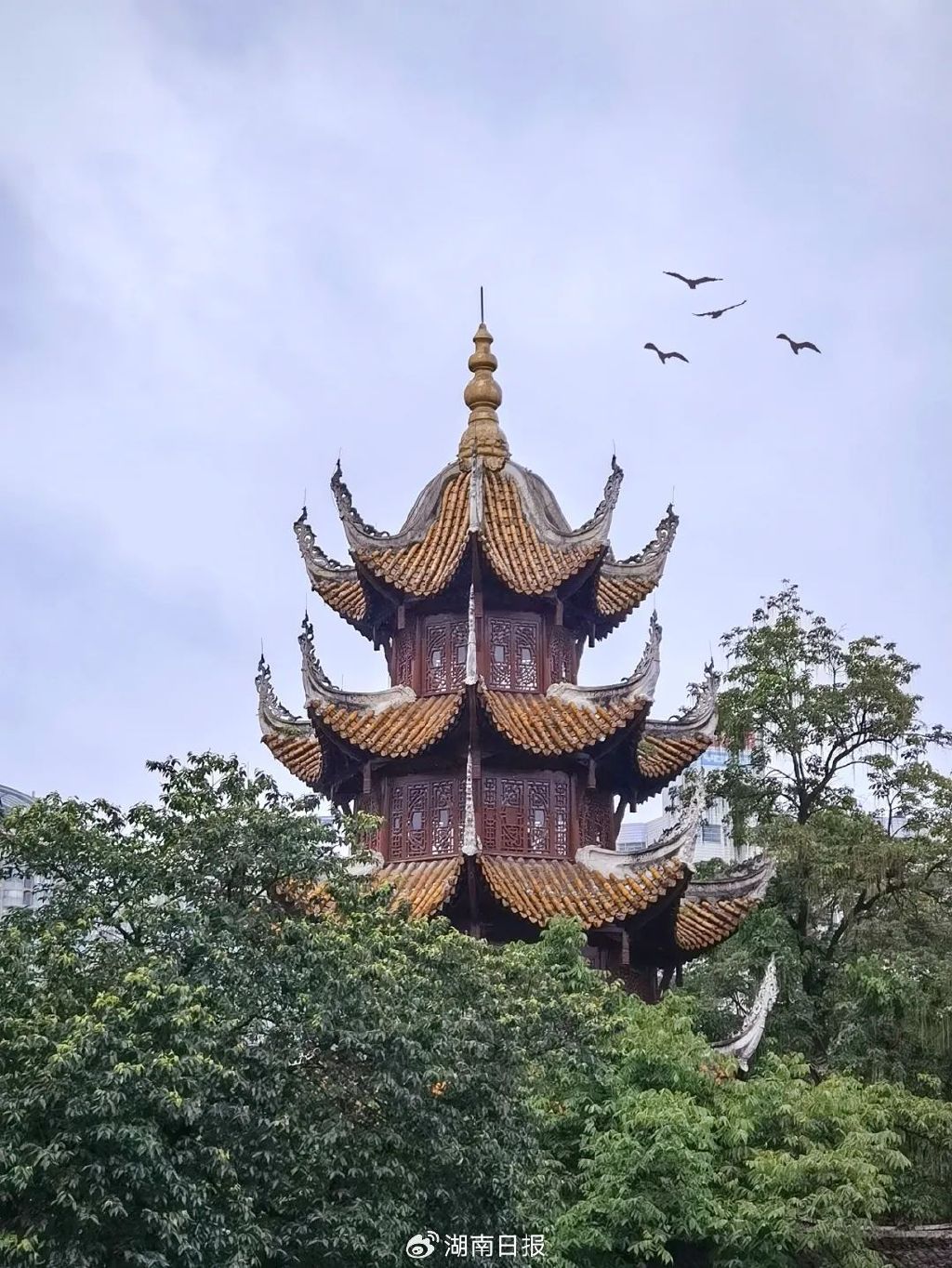 长沙轮渡没有轮渡,文昌阁没有阁……"骗人"的公交站名后藏着这些小