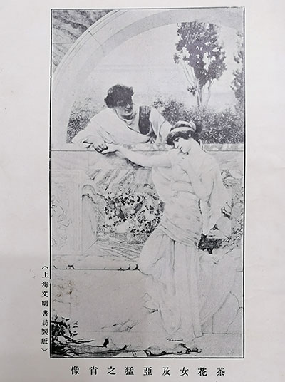 夜读|西坡:《巴黎茶花女遗事》的遗事