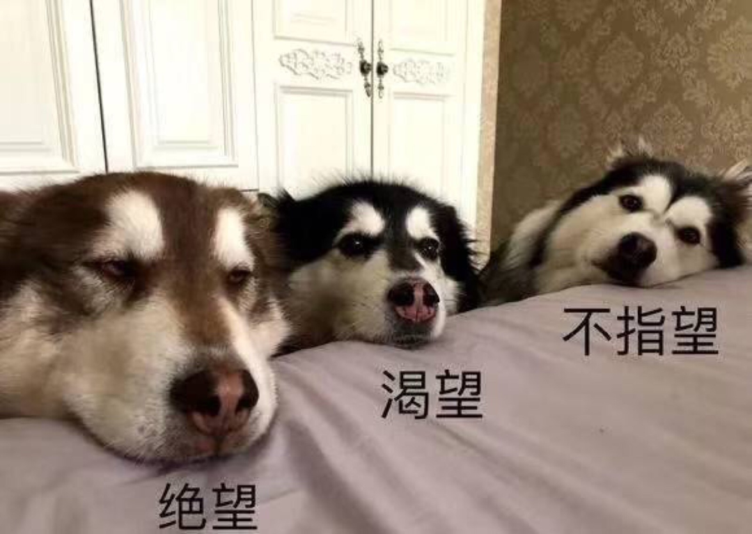 图片来源:网络表情包所以,要想长期拥有一口大白牙,还需要坚持!