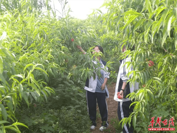 安乡一中到墨庄堂实践基地参观