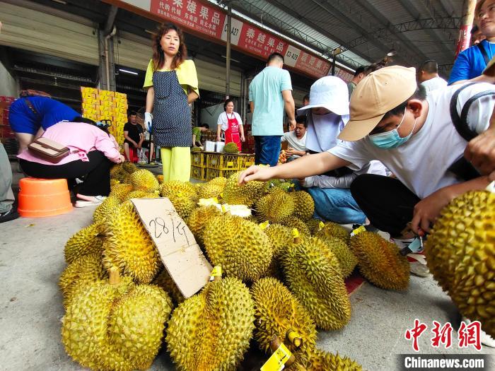 5月15日，南宁市民在广西海吉星农产品国际物流中心选购榴莲。中新网记者 黄艳梅 摄