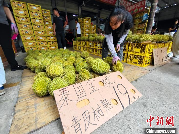在广西海吉星农产品国际物流中心，销售泰国榴莲的多个档口生意火爆。中新网记者 黄艳梅 摄