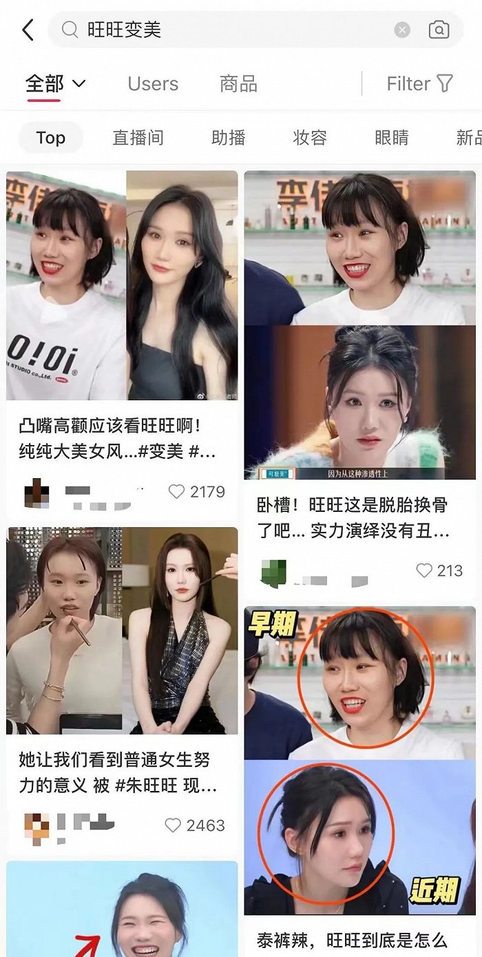 付鹏隐退,那些直播间最强打工人怎么样了?