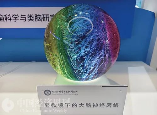 难题,也是全球首次实现猕猴通过"意念"控制对二维动态目标的脑控拦截