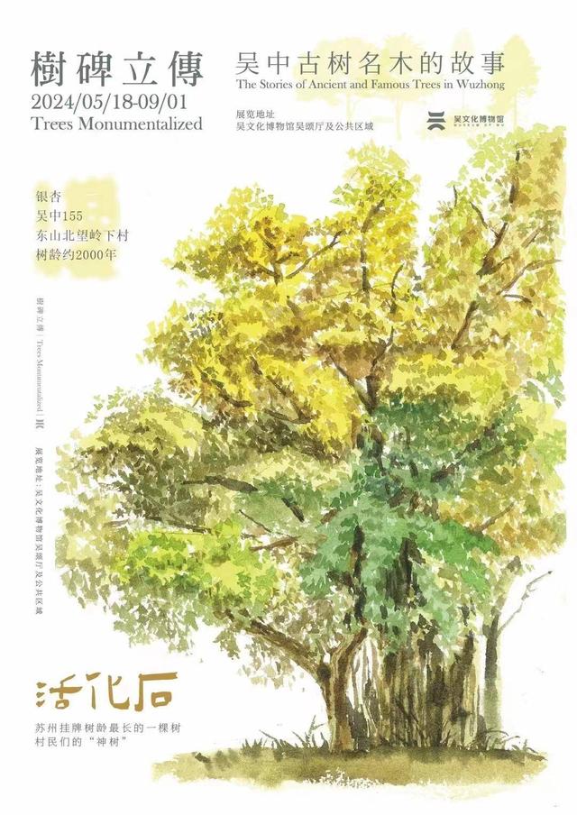 吴文化博物馆馆长陈曾路告诉记者,2021年,他在做吴县数字文化展