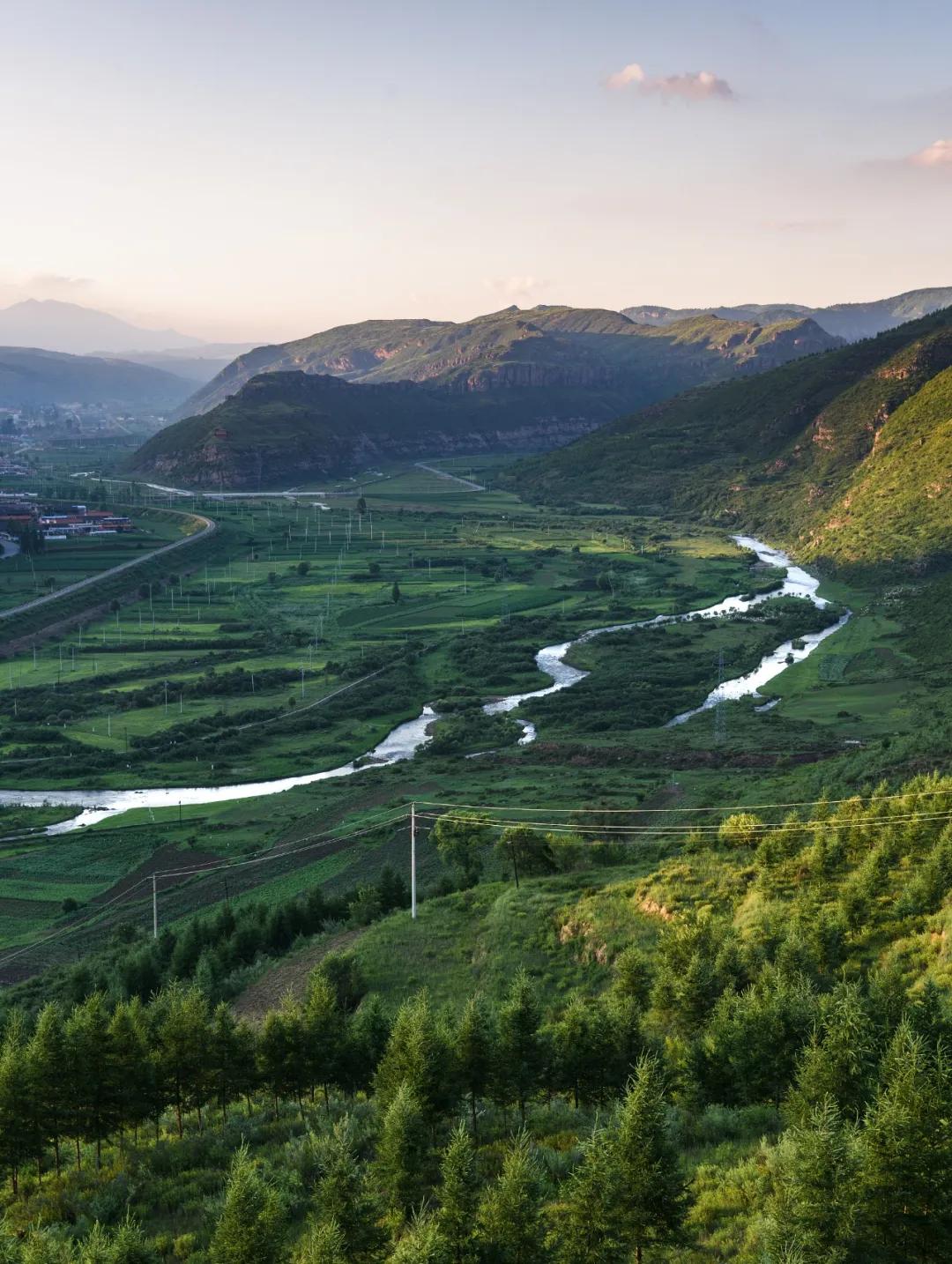 川酒"六朵金花"的酿酒技艺,均在第一,第二批被列进非遗名录;江淮名酒