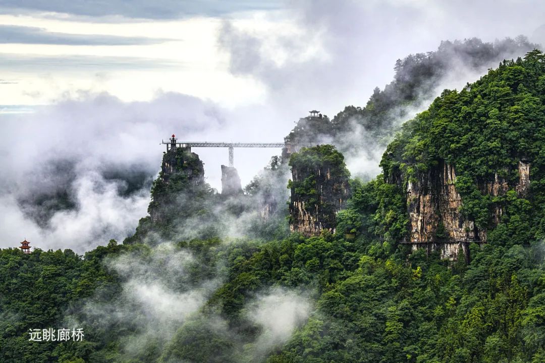 中武当·天柱山活动时间:5月19日活动内容:70岁以上老人,残疾人凭证件