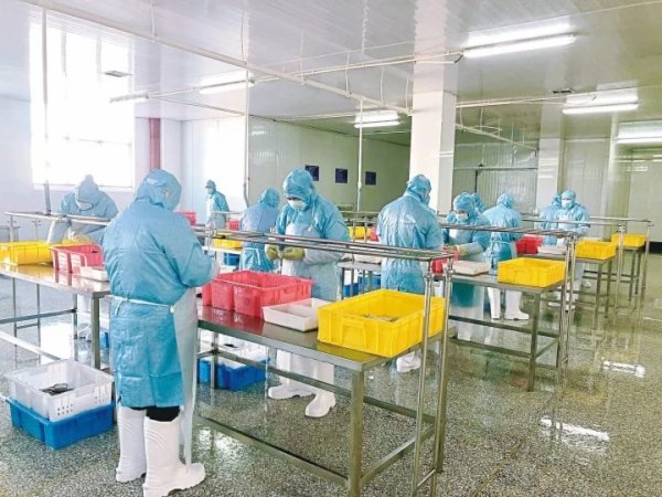 工人正在生产车间进行分拣作业.&nbsp; (美烨食品有限公司供图)