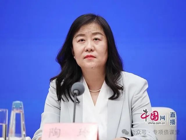 中国东谈主民银行副行长陶玲（中国网 李佳 摄）
