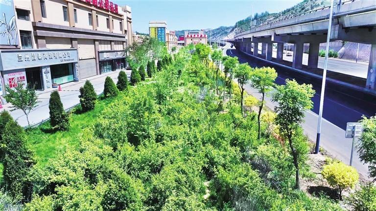 城市——北龙口国际商贸物流城全力实施"双市提质"工程打造绿色生态