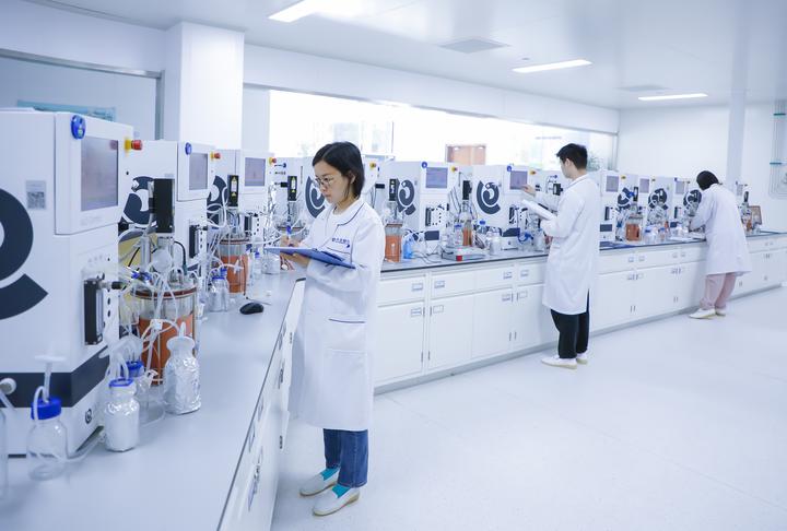新质生产力一线观察|一粒创新药 十年磨一剑——齐鲁制药集团创新一线
