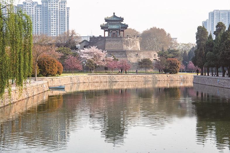 第十届 "育华中学杯" 作文大赛