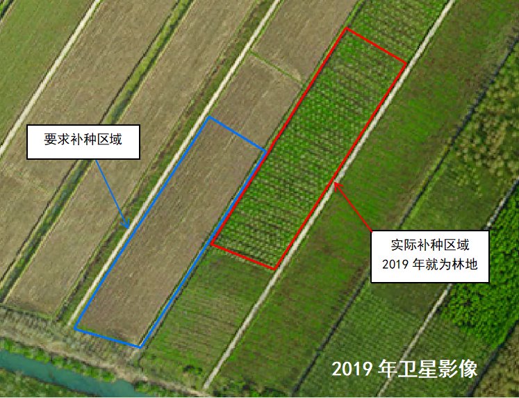 图4&nbsp; 督察组查询卫星影像显示,实际补种区域2019年就为林地