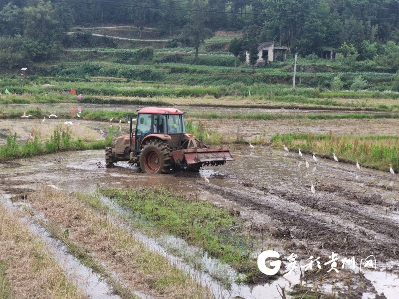 "履带式拖拉机打田,在转弯拐角的时候,一定要把后面的平整器提起来.