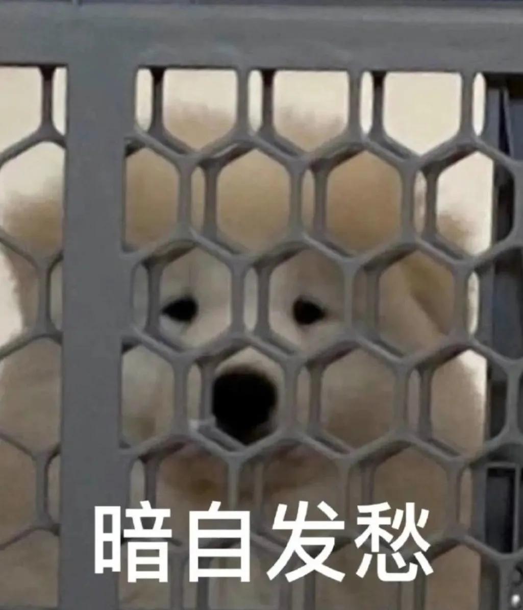 打工人最想入职的网红良心公司,这回终于要"开遍全国"