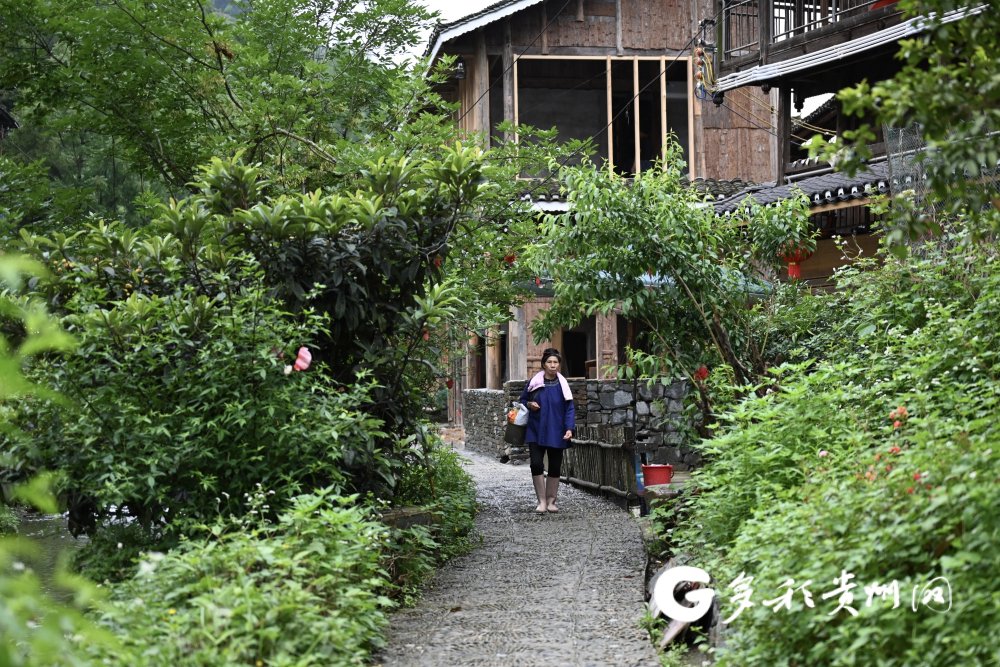 【"村超"周边看振兴】发展民宿 大利侗寨迎来新一轮"扩张"