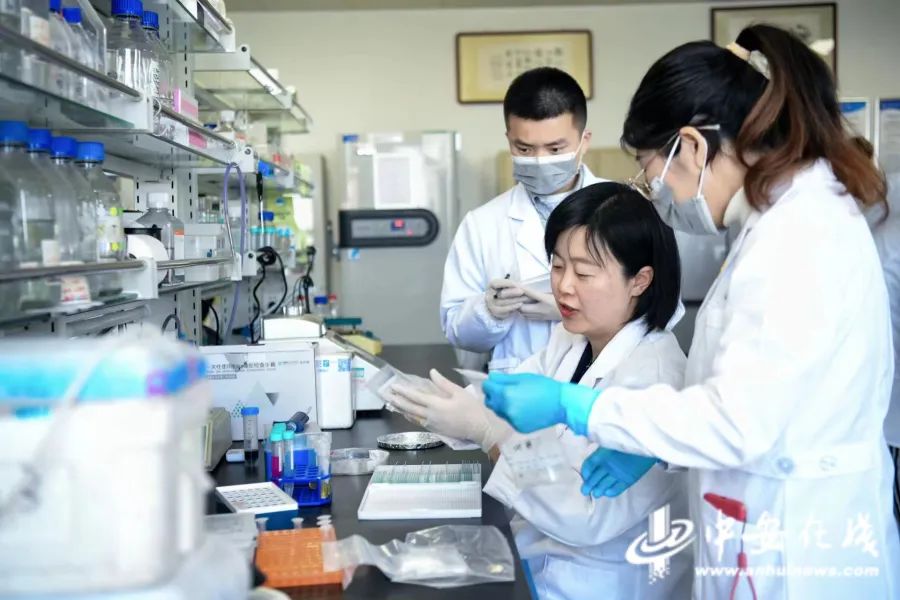 合肥科学岛强磁场科学中心，张欣带领团队，依托研究院最先进的稳态强磁场大科学装置，带领团队取得诸多重大突破。段玉摄