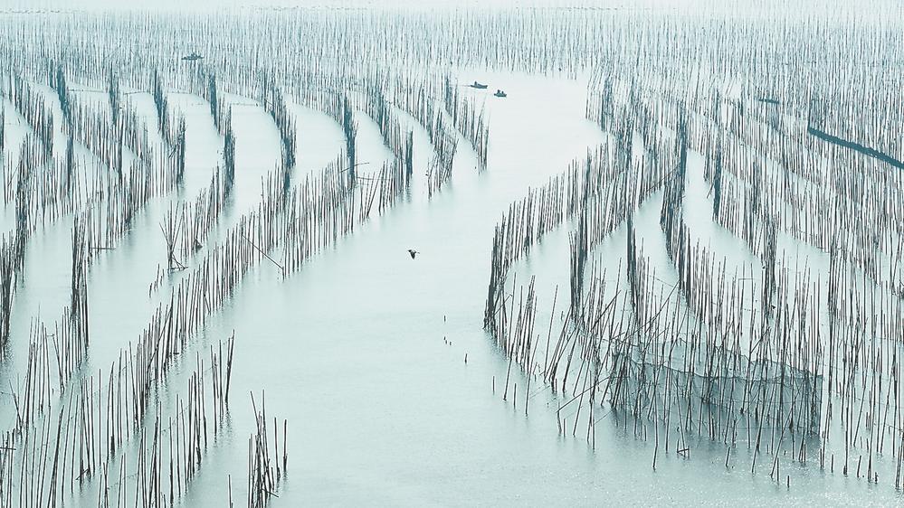 如见山河 如遇故人