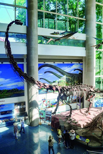 从"私藏"到"共享",小博物馆有"大乾坤"