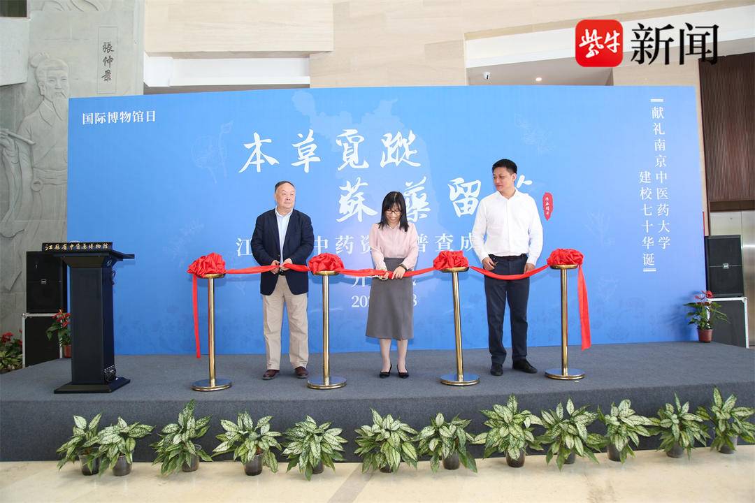 18国际博物馆日|中药香里藏着"清凉密码"!炎炎夏日