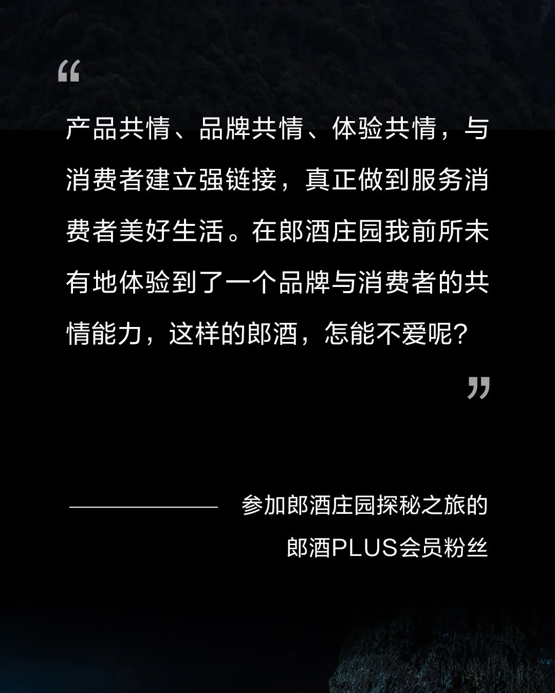 产品,品牌,体验三盘共情  郎酒向消费者持续贴紧一点点