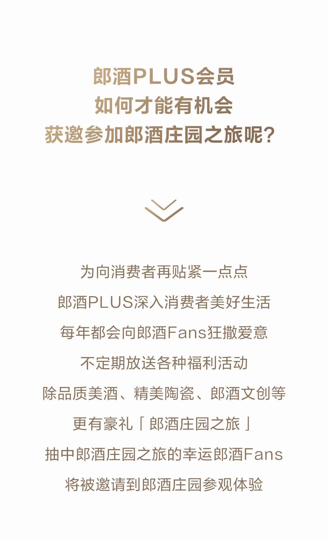 产品,品牌,体验三盘共情  郎酒向消费者持续贴紧一点点