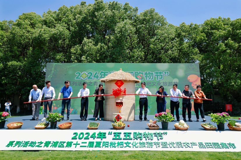 尝一口五月"顶流"的甜 青浦区第十二届夏阳枇杷文化旅游节开幕